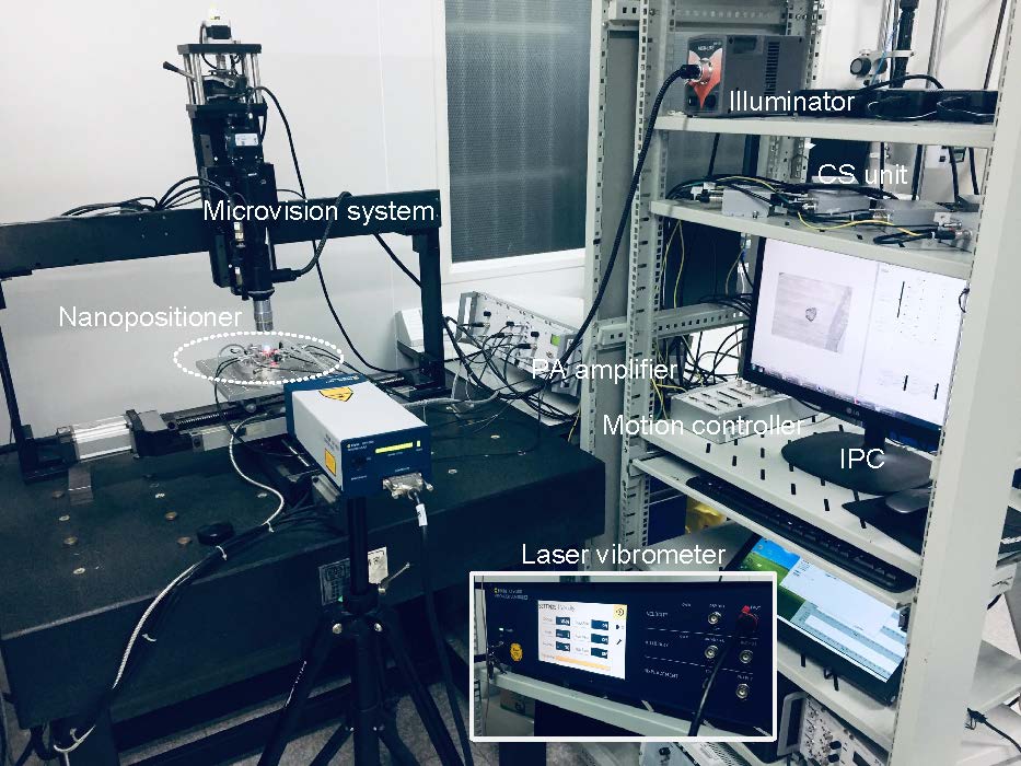 optical microscopy